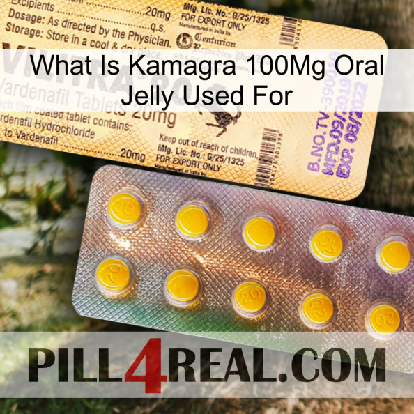 What Is Kamagra 100Mg Oral Jelly Used For new06.jpg